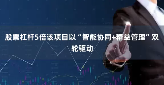 股票杠杆5倍该项目以“智能协同+精益管理”双轮驱动