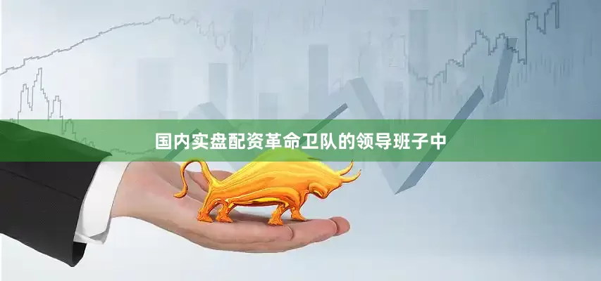 国内实盘配资革命卫队的领导班子中