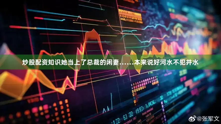 炒股配资知识她当上了总裁的闲妻……本来说好河水不犯井水