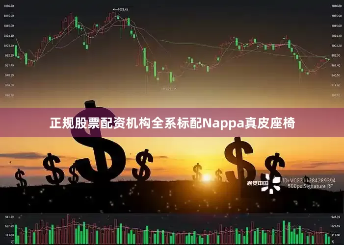 正规股票配资机构全系标配Nappa真皮座椅