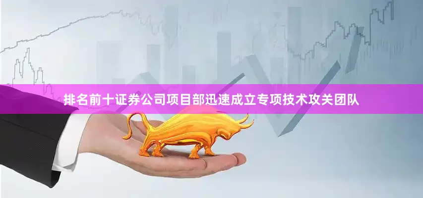 排名前十证券公司项目部迅速成立专项技术攻关团队