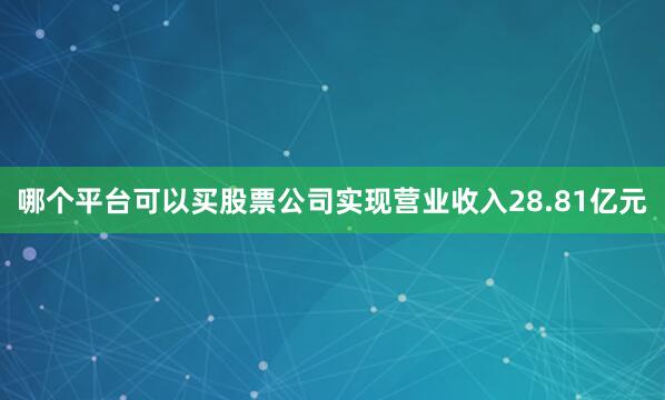 哪个平台可以买股票公司实现营业收入28.81亿元