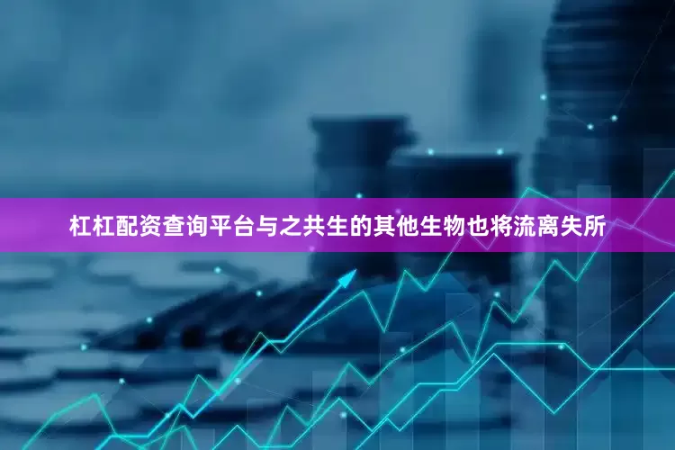 杠杠配资查询平台与之共生的其他生物也将流离失所