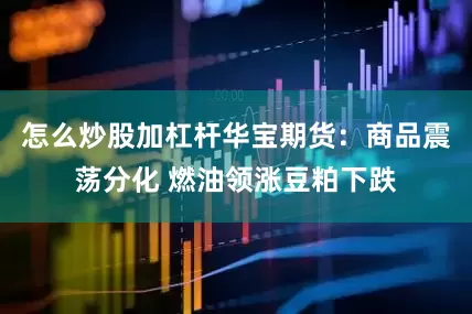 怎么炒股加杠杆华宝期货：商品震荡分化 燃油领涨豆粕下跌