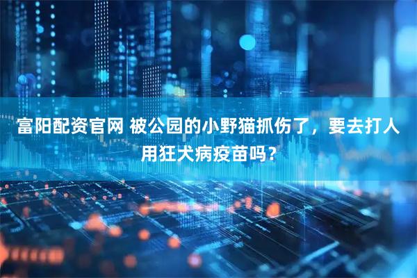 富阳配资官网 被公园的小野猫抓伤了，要去打人用狂犬病疫苗吗？